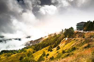 Scenic view of trees and buildings against sky