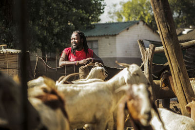 Man with horse cart against trees