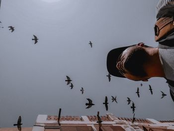Low angle view of birds flying against sky