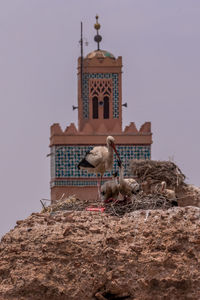 Low angle view of church against clear sky