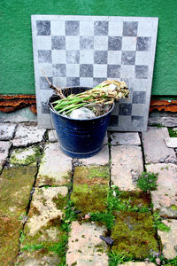 High angle view of potted plants on table