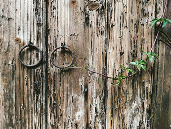 Close-up of wooden door