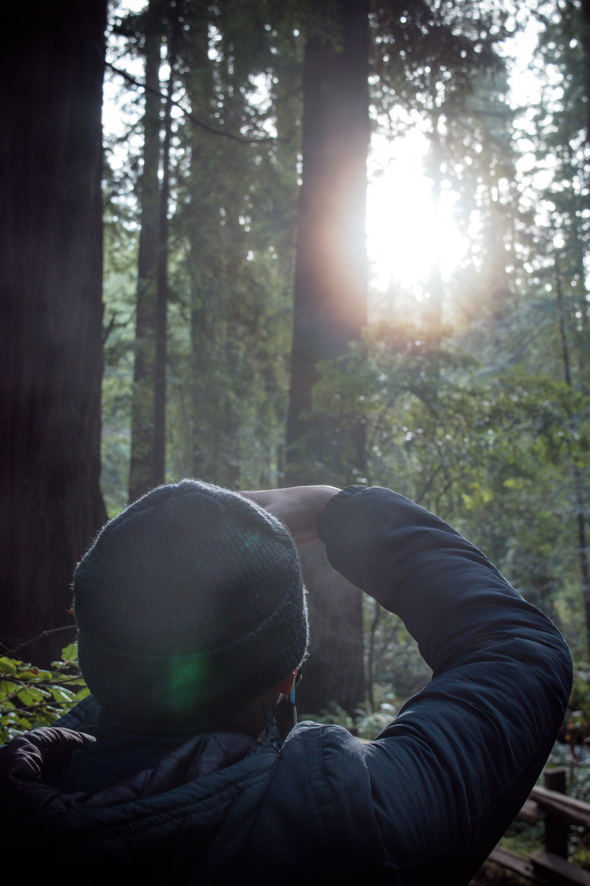 one person, lens flare, men, real people, day, sunlight, low section, tree, forest, sunbeam, human leg, leisure activity, outdoors, human body part, one man only, adults only, people, only men, nature, adult, close-up