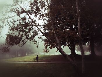 Woman standing on tree trunk