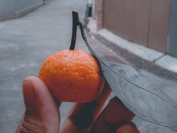 Cropped image of hand holding orange