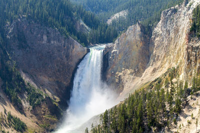 Scenic view of waterfall in forest