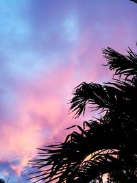 Low angle view of silhouette palm tree against sky