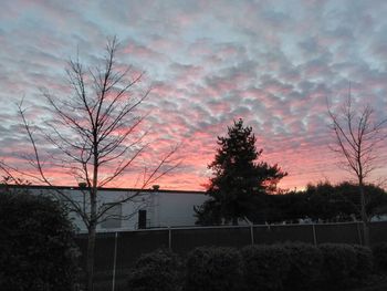 Silhouette trees against sky at dusk