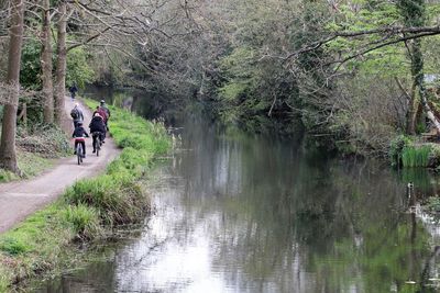 Rear view of people walking amidst trees next to river