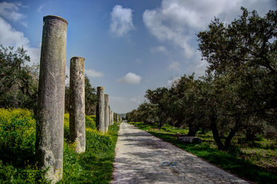 Road amidst trees against sky