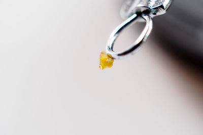 Close-up of water drop on leaf against white background