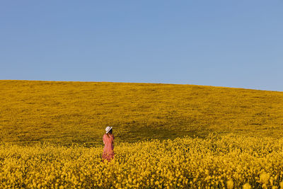 Woman in the hat in a mustard field, view from the back.