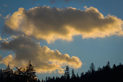 Low angle view of silhouette trees against sky during sunset