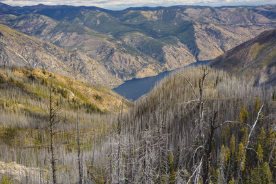 Lake chelan surrounded by burned trees