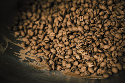 Close-up of cocoa beans in machinery at chocolate factory