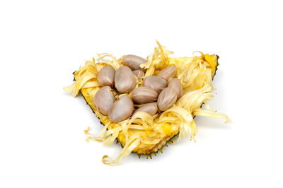 High angle view of yellow flowers against white background