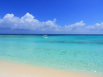 Beach in the caribbean sea, los roques, venezuela