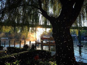 Trees by lake against sky during sunset