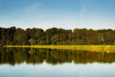 Reflection of trees in lake against sky