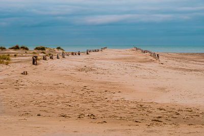 Wooden stakes showing the path towards the sea on a naturally developed sand beach