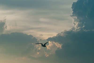 Low angle view of silhouette airplane flying against sky