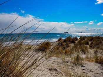 Scenic view of beach against sky