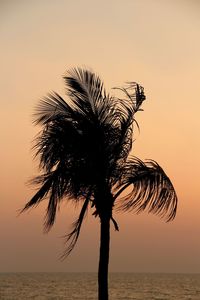 Silhouette palm tree against sea at sunset