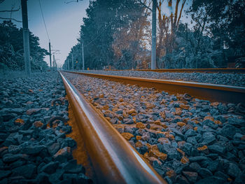 Surface level of railroad tracks against trees