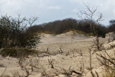 Scenic view of snow covered field against sky