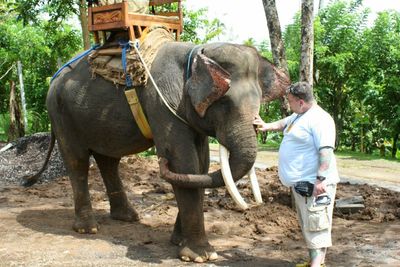 Full length of man standing by elephant