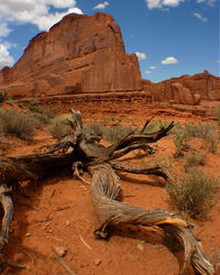 Arches national park