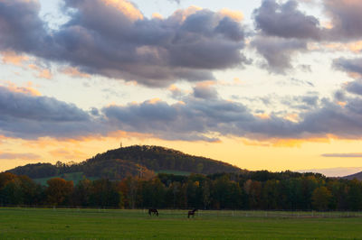 Scenic view of landscape against sky during sunset