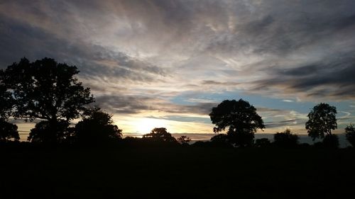 Silhouette trees against sky during sunset