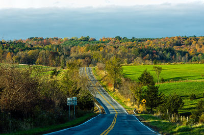 Empty road amidst grassy field against sky