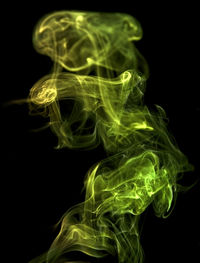 Close-up of green leaf against black background