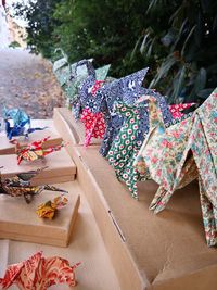 High angle view of various flowers on table