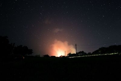 Low angle view of trees against sky at night