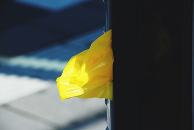 Close up of yellow flag