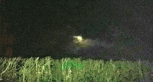 Scenic view of field against sky at night