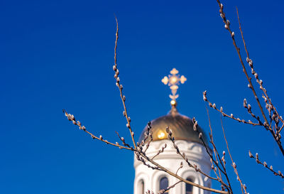 Low angle view of plant and church against clear blue sky