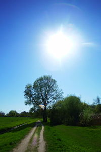 Road amidst field against clear sky on sunny day