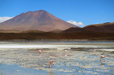 Scenic view of lake against mountain range