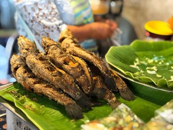 Close-up of dead fish in plate