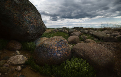 Close-up of stones on field against sky