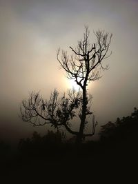 Silhouette bare tree against sky during sunset