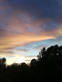 Low angle view of silhouette trees against sky at sunset