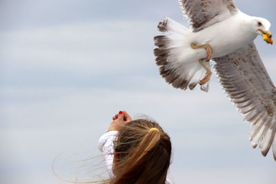 Low angle view of seagull flying against sky