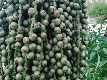 Full frame shot of fruits for sale in market