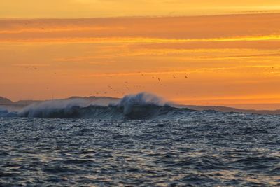 Scenic view of sea against sky during sunset