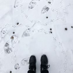 Boots and bird prints in snow